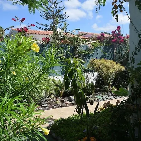 בית נופש Tres Beau Bungalow,jardin Tropical, Renovation Ete 2020