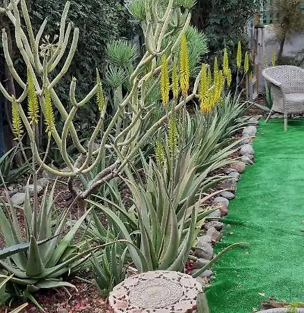 Tres Beau Bungalow,jardin Tropical, Renovation Ete 2020 Dom wakacyjny