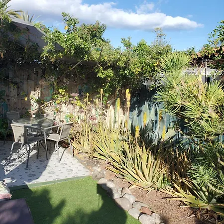 Tres Beau Bungalow,jardin Tropical, Renovation Ete 2020