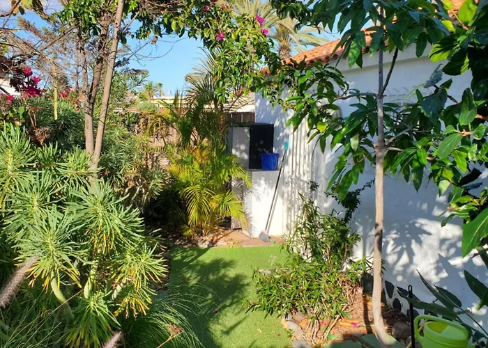 Vakantiehuis Tres Beau Bungalow,jardin Tropical, Renovation Ete 2020 *