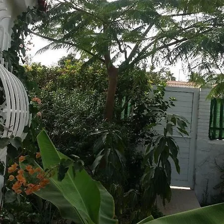 Tres Beau Bungalow,jardin Tropical, Renovation Ete 2020 * Playa del Ingles (Gran Canaria)