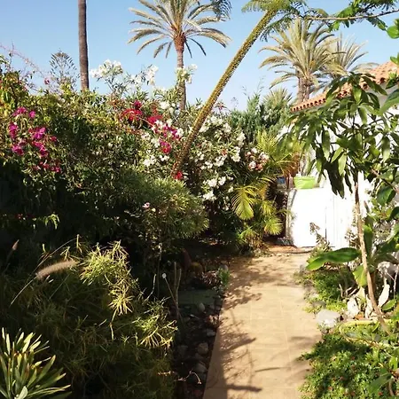 Tres Beau Bungalow,jardin Tropical, Renovation Ete 2020 بيت للعطل *