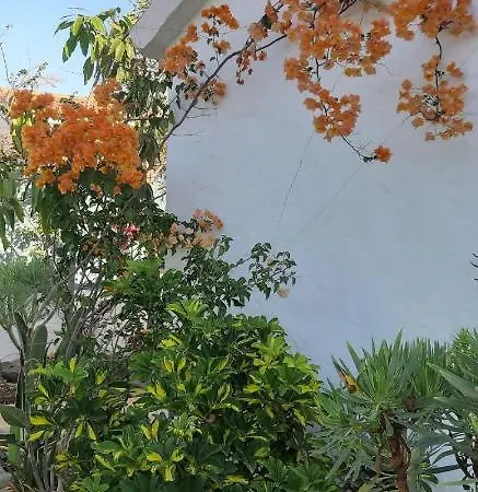 Semesterbostad Tres Beau Bungalow,jardin Tropical, Renovation Ete 2020 *