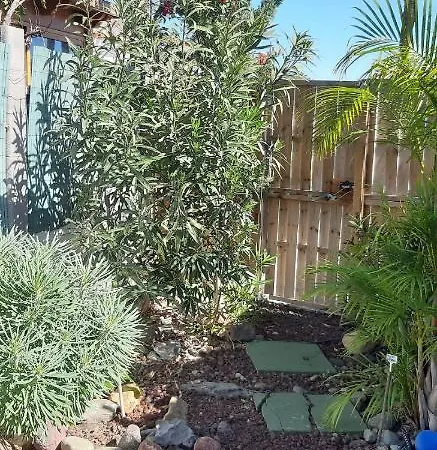 Tres Beau Bungalow,jardin Tropical, Renovation Ete 2020 *