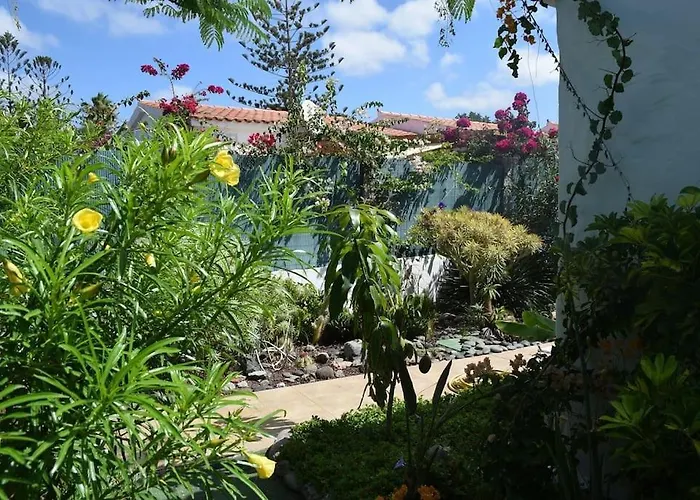 Casa vacanze Très Beau Bungalow,jardin Tropical, Renovation Ete 2020