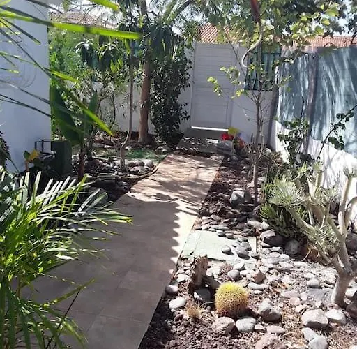 Très Beau Bungalow,jardin Tropical, Renovation Ete 2020 *