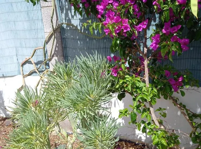 Tres Beau Bungalow,jardin Tropical, Renovation Ete 2020 Σπίτι διακοπών *