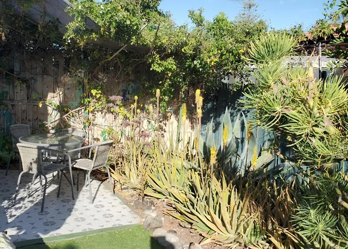 Tres Beau Bungalow,jardin Tropical, Renovation Ete 2020