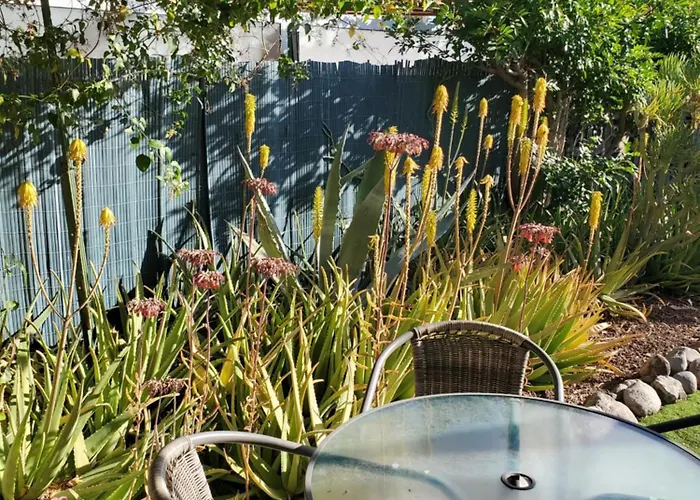 Tres Beau Bungalow,jardin Tropical, Renovation Ete 2020 *