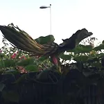 Σπίτι διακοπών Tres Beau Bungalow,jardin Tropical, Renovation Ete 2020