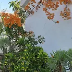 Σπίτι διακοπών Tres Beau Bungalow,jardin Tropical, Renovation Ete 2020 *