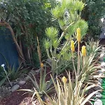 Tres Beau Bungalow,jardin Tropical, Renovation Ete 2020 * Πλάγια ντελ Ινγκλές