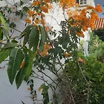 Tres Beau Bungalow,jardin Tropical, Renovation Ete 2020