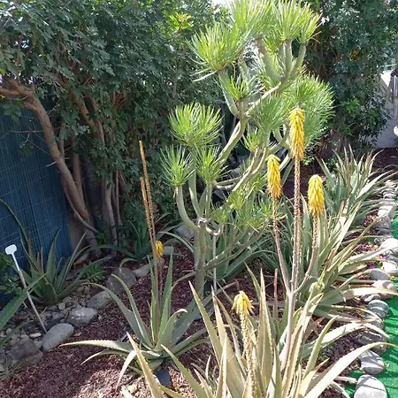 Tres Beau Bungalow,jardin Tropical, Renovation Ete 2020 * بلايا ديل إنغلز