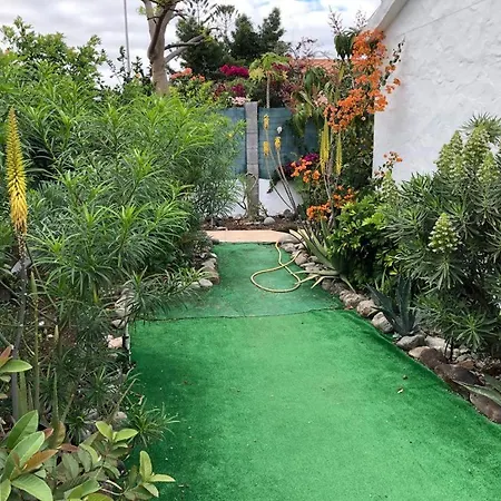 Tres Beau Bungalow,jardin Tropical, Renovation Ete 2020 بيت للعطل *