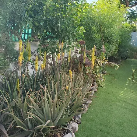 Tres Beau Bungalow,jardin Tropical, Renovation Ete 2020 Σπίτι διακοπών Πλάγια ντελ Ινγκλές