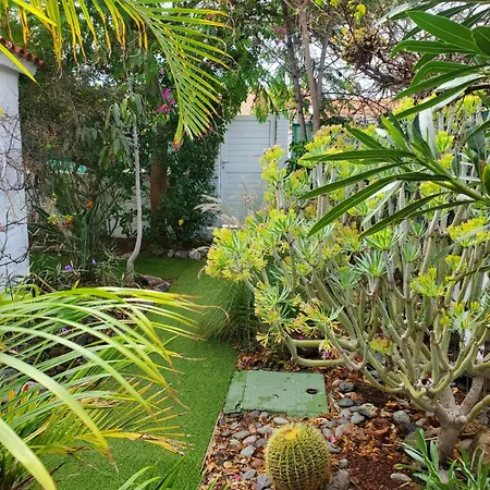 Tres Beau Bungalow,jardin Tropical, Renovation Ete 2020 Σπίτι διακοπών