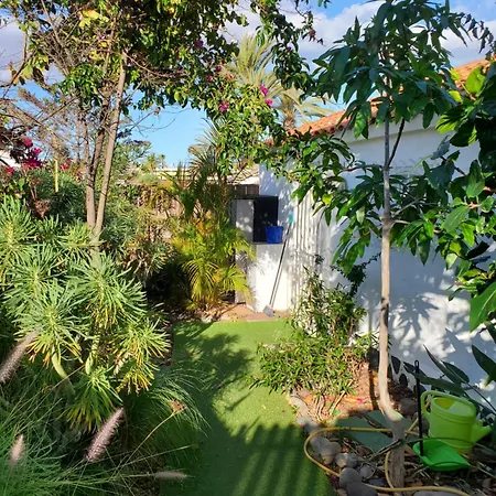 بيت للعطل Tres Beau Bungalow,jardin Tropical, Renovation Ete 2020 *