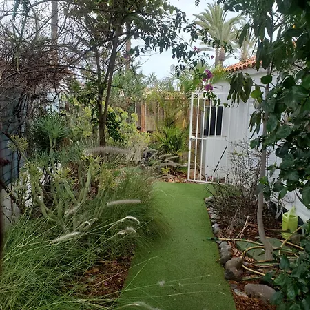 Tres Beau Bungalow,jardin Tropical, Renovation Ete 2020 Πλάγια ντελ Ινγκλές