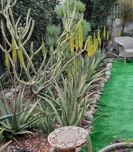 Tres Beau Bungalow,jardin Tropical, Renovation Ete 2020 Prázdninový dům