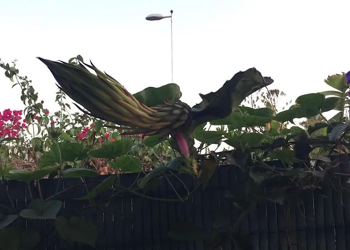 펜션 Tres Beau Bungalow,jardin Tropical, Renovation Ete 2020