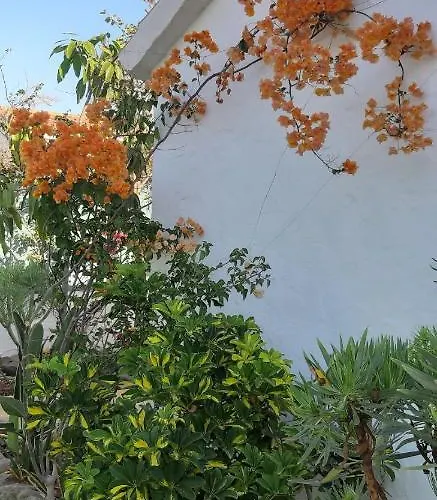 펜션 Tres Beau Bungalow,jardin Tropical, Renovation Ete 2020 *