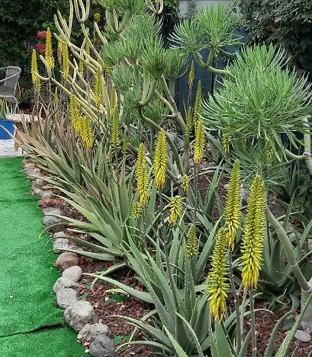 펜션 Tres Beau Bungalow,jardin Tropical, Renovation Ete 2020