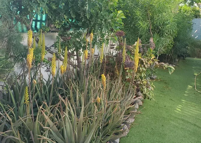 Tres Beau Bungalow,jardin Tropical, Renovation Ete 2020 펜션 플라야 델 잉글스