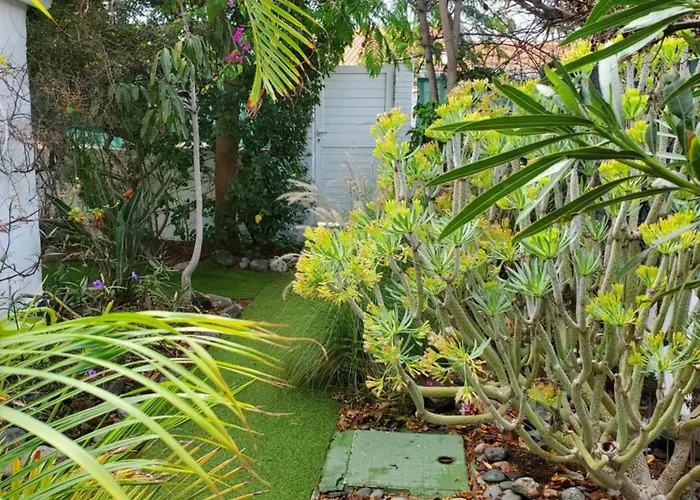 Tres Beau Bungalow,jardin Tropical, Renovation Ete 2020 펜션